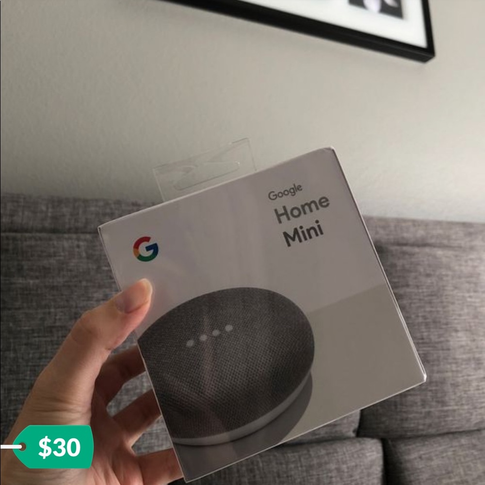 Google home mini